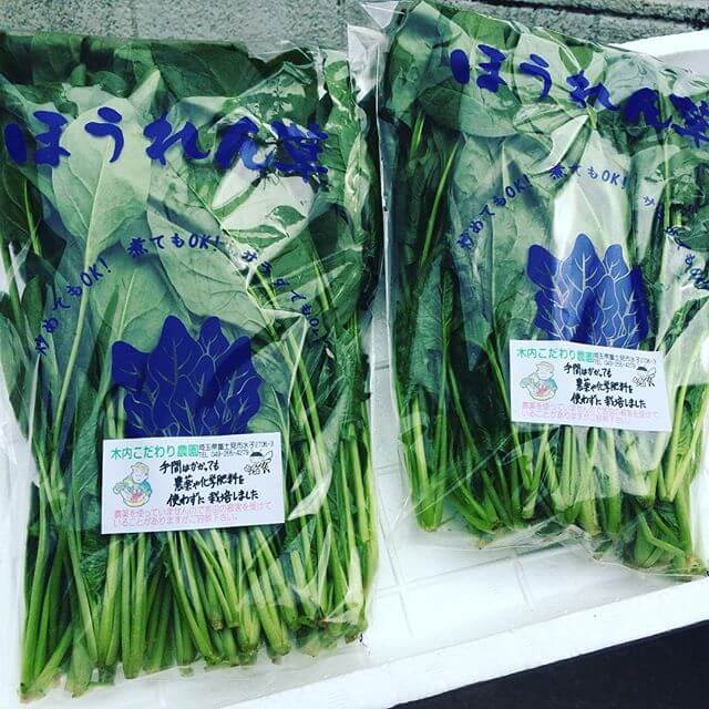 ミネラル豊富な産物